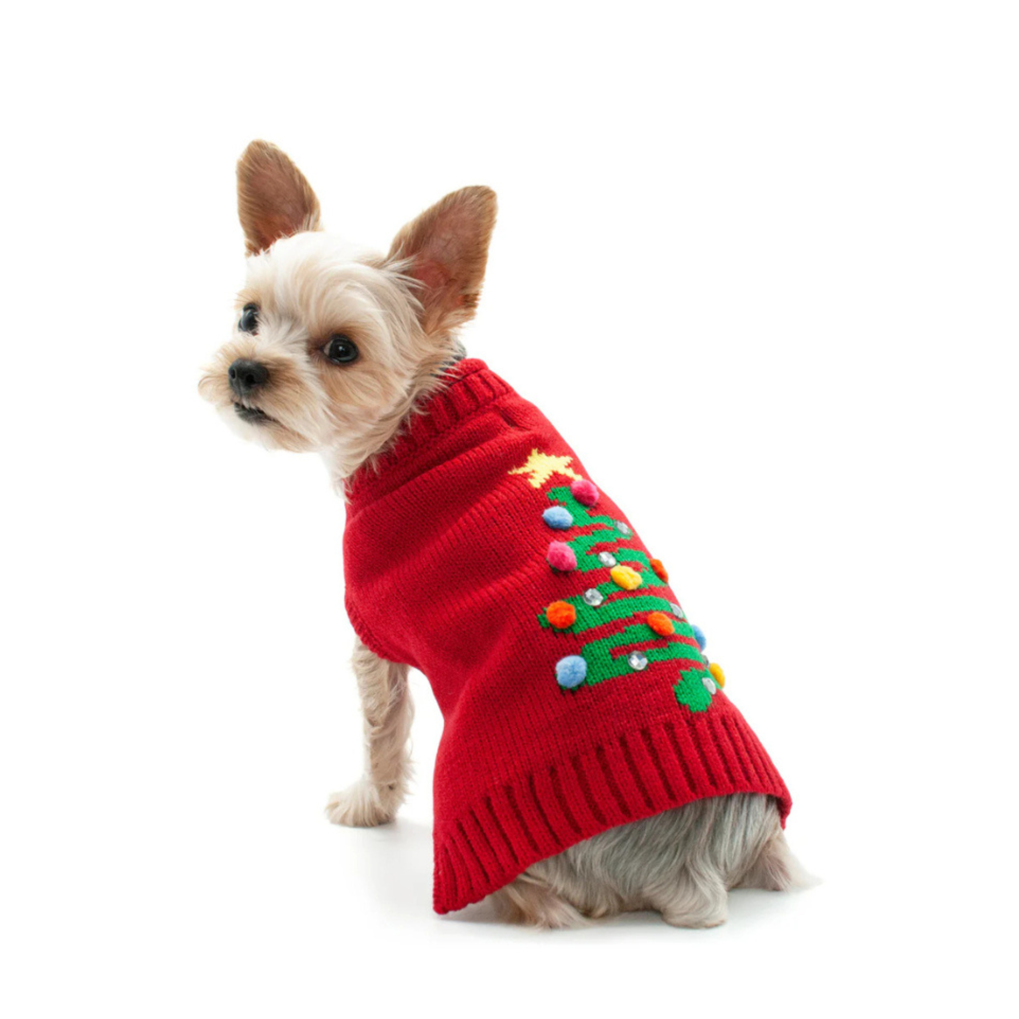 Uncommon Paws Located in Portland's historic Old Port 21 Exchange ...