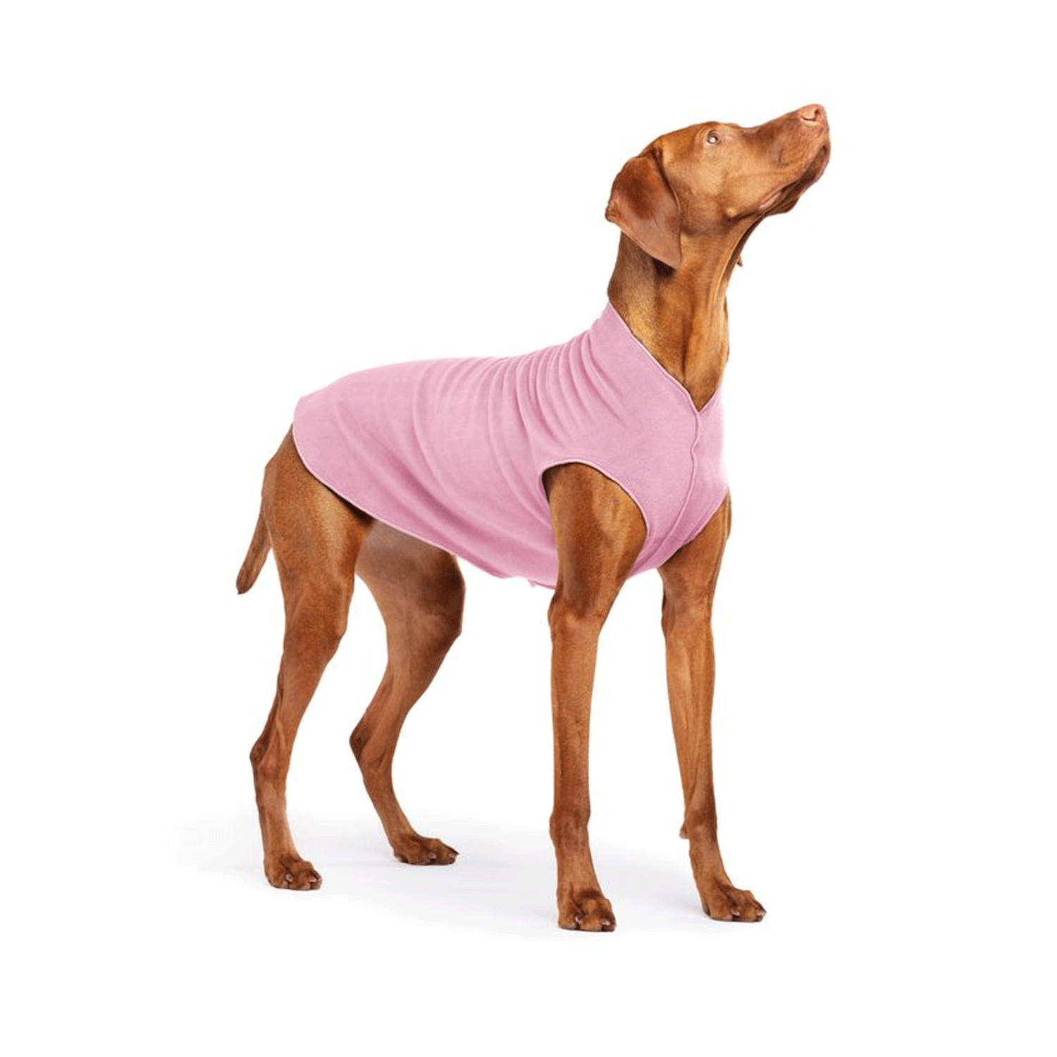 Goldpaw Stretch Fleece Rose | Uncommon Paws Located in Portland's ...