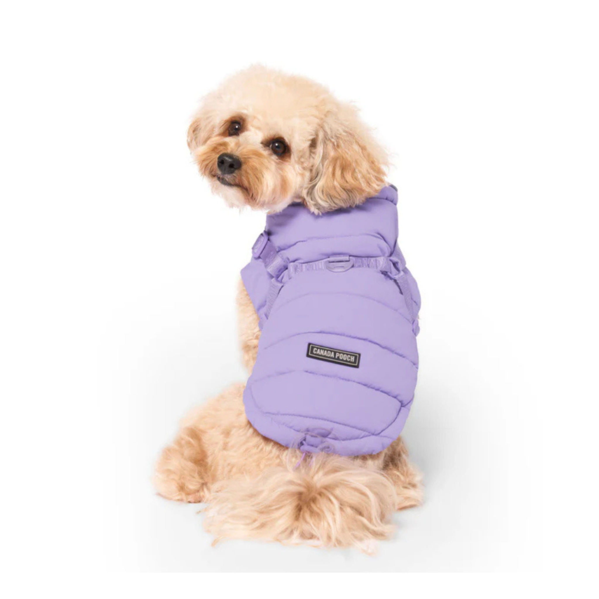 Dog Apparel | Sweaters, Jackets & Dog Clothing | Uncommon Paws ...