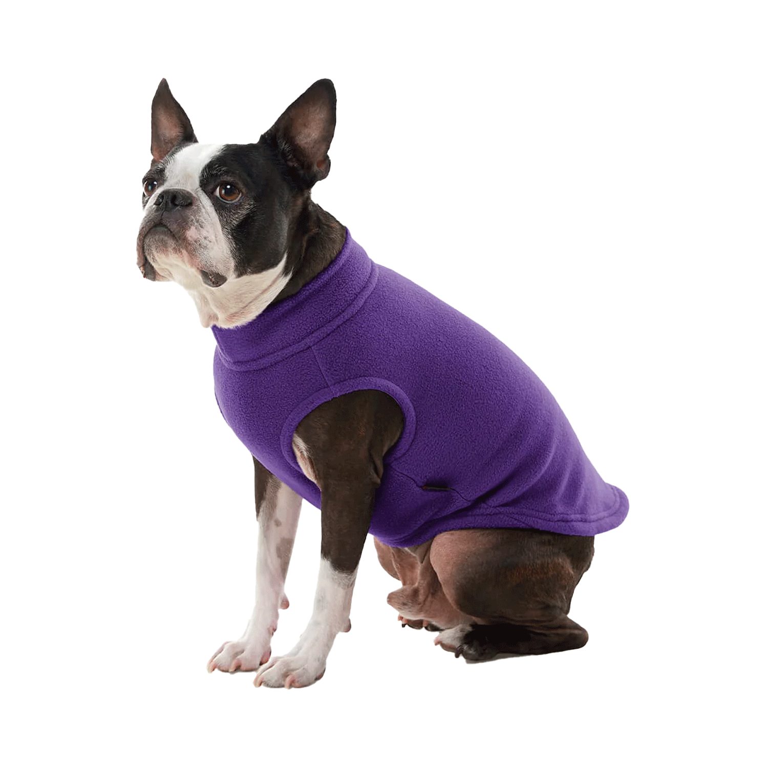 Gooby Stretch Fleece Violet | Uncommon Paws Located in Portland's ...