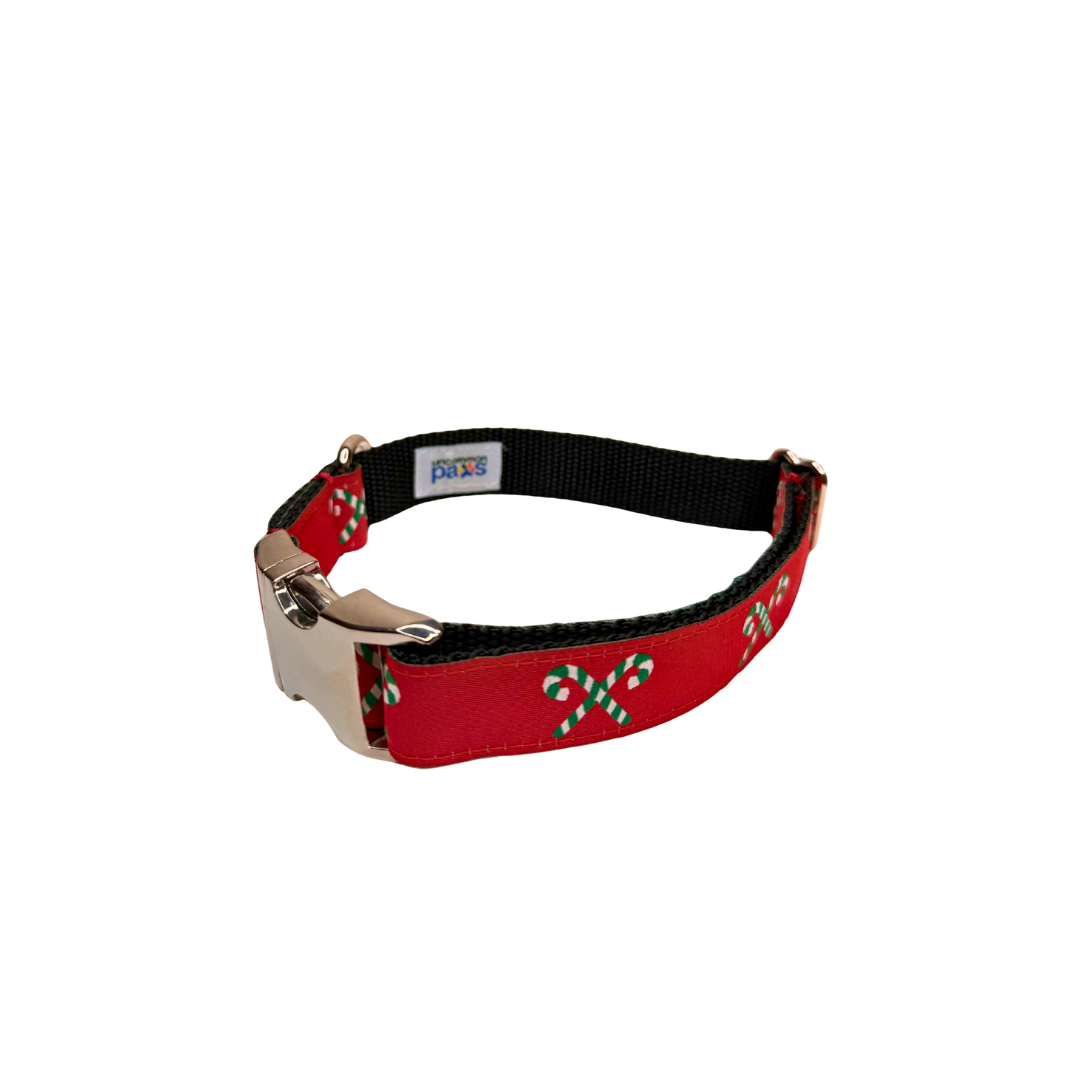 Uncommon Paws Located in Portland's historic Old Port 21 Exchange ...