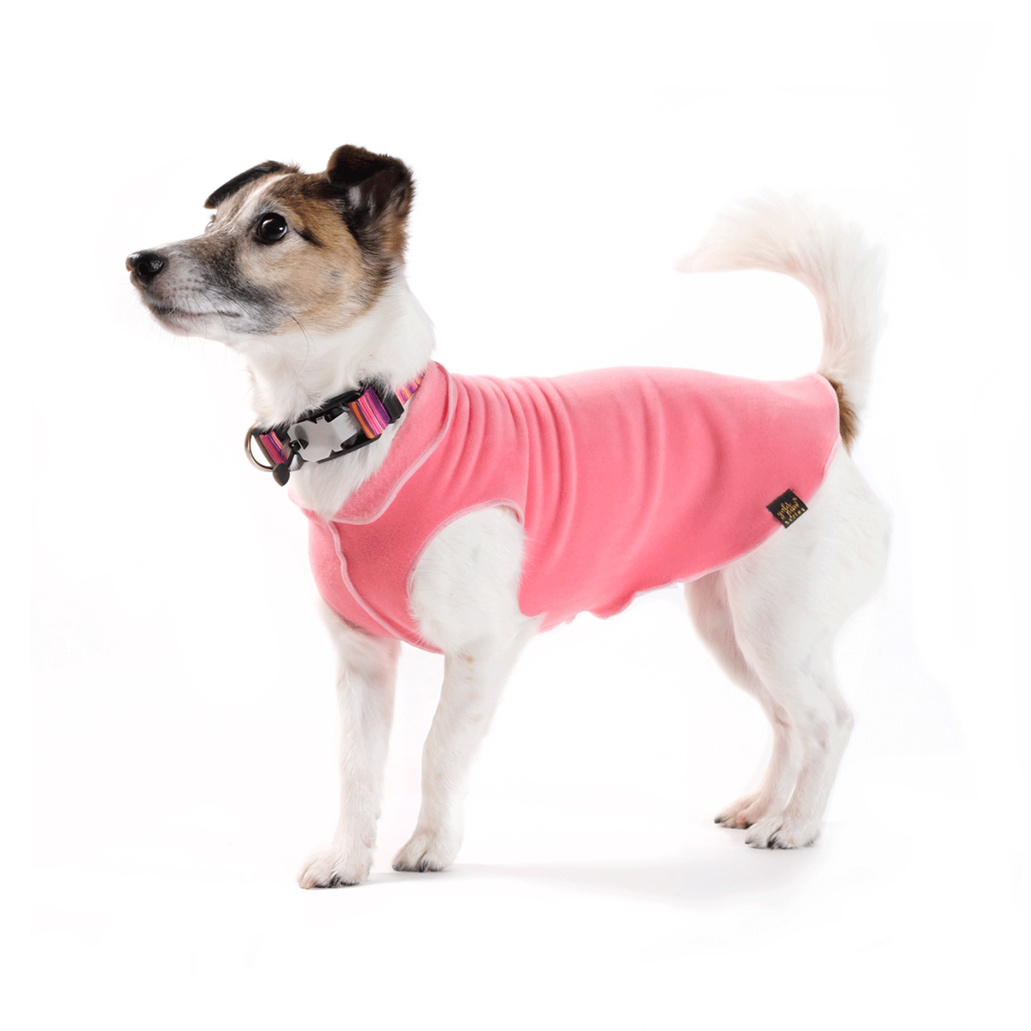 Goldpaw Stretch Fleece Coral | Uncommon Paws Located in Portland's ...
