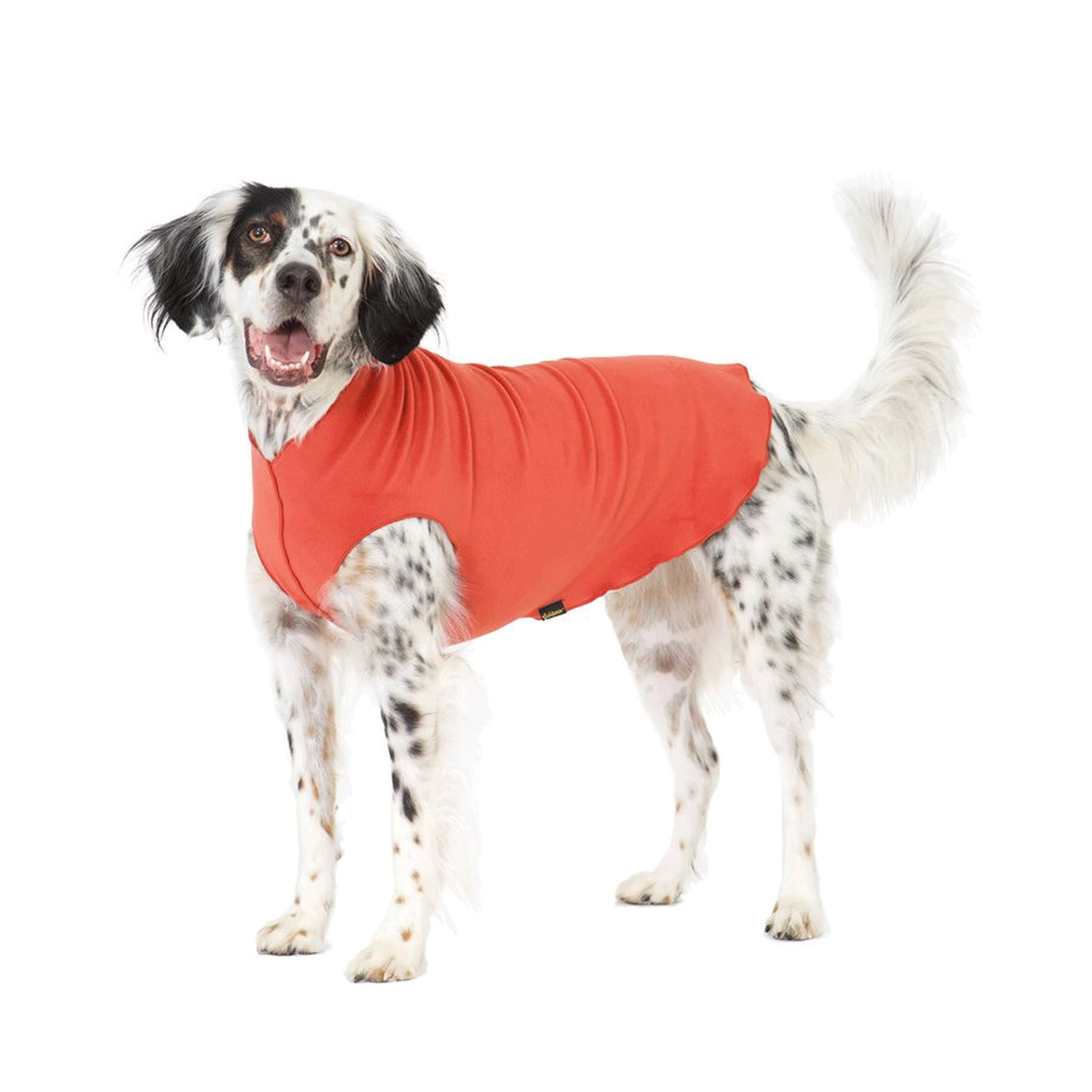 Goldpaw Stretch Fleece Paprika | Uncommon Paws Located in Portland's ...